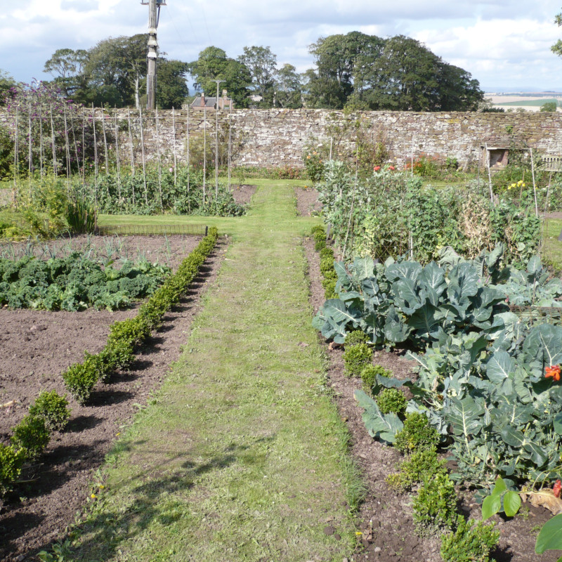 garden 01