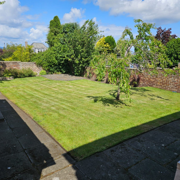lawn